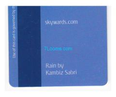 Emirates Skywards Blue Card; 2010
