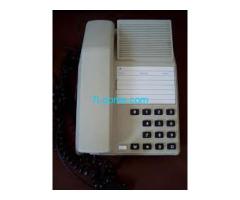 Biete Festnetz Telefon TAP 90 ARGE W90 01/91 funktionsfähig