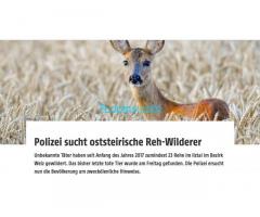 Wir suchen die wilden Wilderer von Pischelsdorf in der Steiermark!