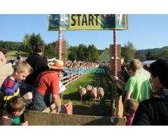 25. Großes Schweine - Rennen in Kalch Sonntag 23. September 2018 14:15 Vorstellung der Rennschweine