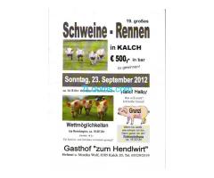 19. Großes Schweine - Rennen in Kalch Sonntag 23. September 2012 14:15 Vorstellung der Rennschweine