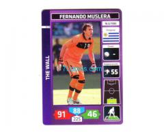 Panini Familiy Card Weltmeisterschaft 2014 Uruquay; Uruquay Fernando Muslera;