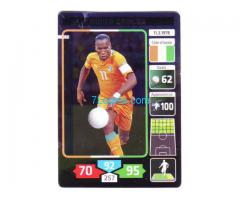 Biete: Panini Familiy Card Weltmeisterschaft 2014 Côte d´ivoire; Didier Drogba;