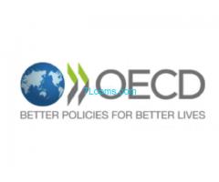 uns die OECD erklärt dass der europäische Arbeitsmarkt ALLE VölkerWanderer absorbieren kann!