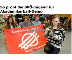 die Niederösterreichischen Jungsozis nicht gegen das Versagen der Bundesregierung Demonstrieren!