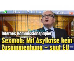 Die neue EU-Kommisionslüge; Sexmob soll kein Angriff durch die Asylanten sein;