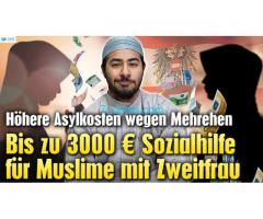 3000,- Euro Asylhilfe für Muslieme mit Zweitfrauen; Der Supergau! Österreich;