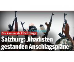 die EU und Österreich vorsätzlich Jihadisten ins Land gelassen hat und eben nur zugeschaut hat;