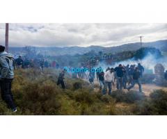 14.02.16 Auf der griechischen Insel KOS wurden Proteste gegen Asyllager niedergeschlagen;
