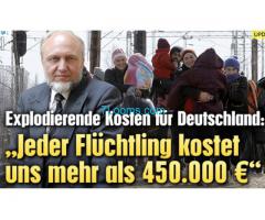 in Deutschland ein Asylant mehr als 450.000,- Euro kostet!