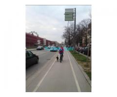 Geister Radfahrerin mit Hund Musik hörend mit Kopfhörer entgegen der Richtung am Radweg!