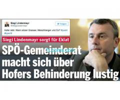 der SPÖ Gemeinderat Siegi Lindenmayr den Bundespräsidentschaftskanditat HOFER beleidigt;