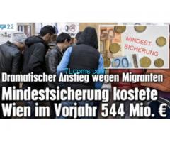 wir alleine in Wien schon 544 Mill. Euro für Mindestsicherungskosten der Invasoren bezahlt haben;