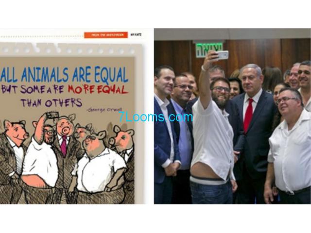 Israels Kanzler Benjamin Netanjahu mit Schweinekopf Karikaturist  von Jersualem Post gefeuert!