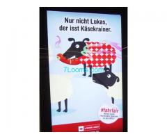 Schon feig, diese Wiener Linien nun wird das schwarze Schaf gegen ein rotes getauscht? Irre ...