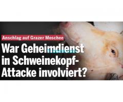 der öster. Verfassungsschutz u HerresNachrichtendienst lieber Schweineköpfe jagt als Terroristen;