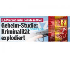 Geheime Studie zeigt das Verbrechenswachstum in Wien + 9%;