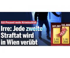 Geheime Studie zeigt das Verbrechenswachstum in Wien + 9%;