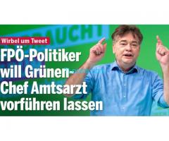 Aktueller Grünen Chef Werner Kogler soll zum Amtsarzt vorgeführt werden auf Wunsch eines FPÖlers;