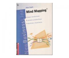 Mind Mapping; bessert strukturieren; schneller protokollieren; deutlicher visualisieren; Peter Capek