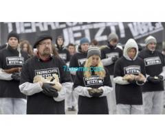 051116 Mahnwache in Wien, wegen Tierrechten mit 650 toten Tieren;