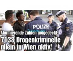 7138 Drogenkriminelle in Wien aktiv; Die Stadt Wien und die Regierung schaffen es nicht zu säubern;