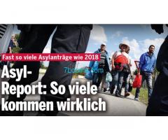 Asylreport für Österreich 2019; aktuell steigt die Zahl der Asylanten....