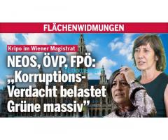 Korruptions-Verdacht belastet die Grünen massiv! Kripo durchsucht Wiener Magistrat!