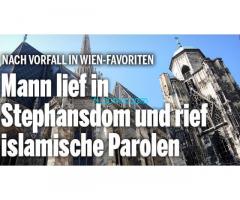 21 jähriger Afgahne lief in Stephansdom am 31.10.20  gegen 08:00 und rief Allahu Akbhar!