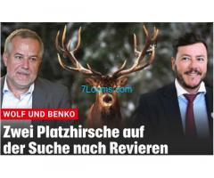 Die Platzhirsche Siegfried Wolf, Rene Benko suchen weitere Geschäftsmöglichkeiten, neue Reviere !