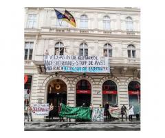 Wald statt Asphalt Deutsche Botschaft in Wien Protest vom 04.12.20; Sofortiger Rodungsstop!
