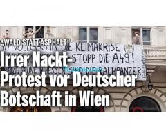 Wald statt Asphalt Deutsche Botschaft in Wien Protest vom 04.12.20; Sofortiger Rodungsstop!