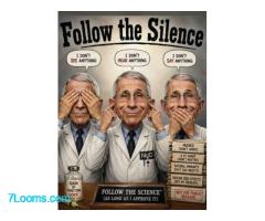 Follow the Silence I DON'T SEE ANYTHING I DON'T HEAR ANYTHING I DON'T SAY ANYTHING ;
