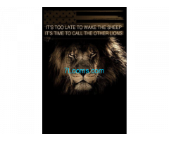 Its to late to wake the sheep its time to call the other LIONS !