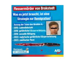 Massenmörder von Brokstedt; Was es jetzt braucht ist Remigration !