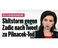 Beleidsbekundung Shitstorm gegen Zadic nach Tweet zu Pilnacek-Tod !