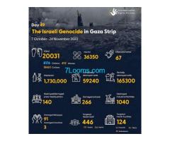 Day 49 The Israeli Genocide in Gaza Strip ! 7. Oct. - 24. Nov. 2023 Euro-Med Human Rights Monitor