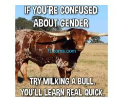 IF YOU'RE CONFUSED ABOUT GENDER TRY MILKING A BULL. YOU'LL LEARN REAL QUICK.