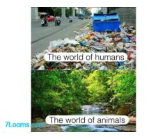 The World of Humans, The World of Animals