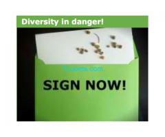 Der Verlust der Saatgut-Vielfalt muss dringend gestoppt werden; SEEDFORALL.org;