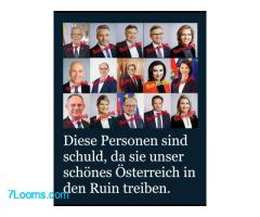 Diese Personen sind schuld, da sie unser schönes Österreich in den Ruin treiben.