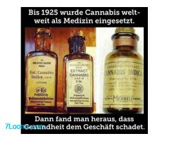 Bis 1925 wurde Cannabis weltweit als Medizin eingesetzt. Dann fand man heraus dass Gesundheit dem Ge
