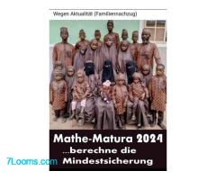 Mathe Matura 2024 ... berechne die Mindestsicherung !  Wegen Aktualität (Familiennachzug) ;