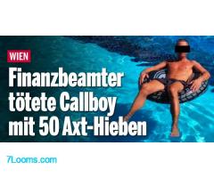 Finanzbeamter tötete bulgarischen Callboy mit 50 Axt-Hieben