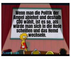 Wenn man die Politik der Ampel ablehnt und deshalb CDU wählt. Ist es so, als würde man sich in die H