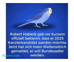 Robert Habeck gab vor kurzem offiziell bekannt, dass er 2025 Kanzlerkandidat werden möchte.