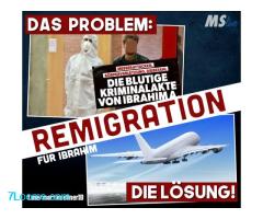 Brahim A. #Remigration rettet Leben Wie viele Opfer müssen es noch werden?