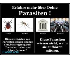 Erfahre mehr über Deine Parasiten!