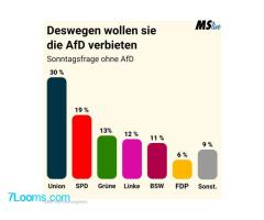 AfD-Verbot = Linke Mehrheit?