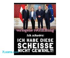 verlogene reGIERung Ich schwöre:  ICH HABE DIESE SCHEISSE NICHT GEWÄHLT!